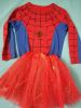 Kids Costumes to Hire - Spidergirl - Shirt & tutu